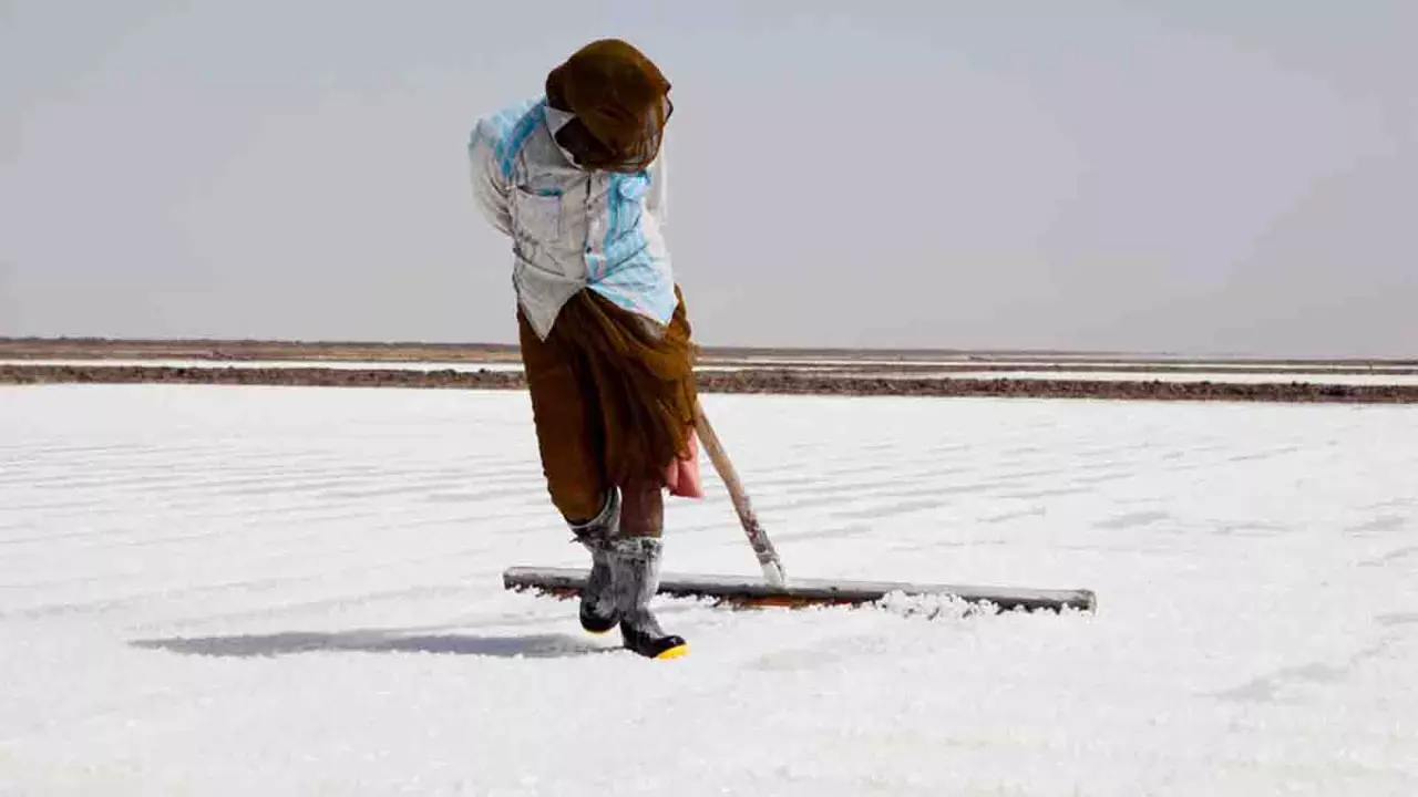 How solar pumps lit up the lives of salt farmers in Gujarat
