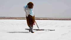 How solar pumps lit up the lives of salt farmers in Gujarat