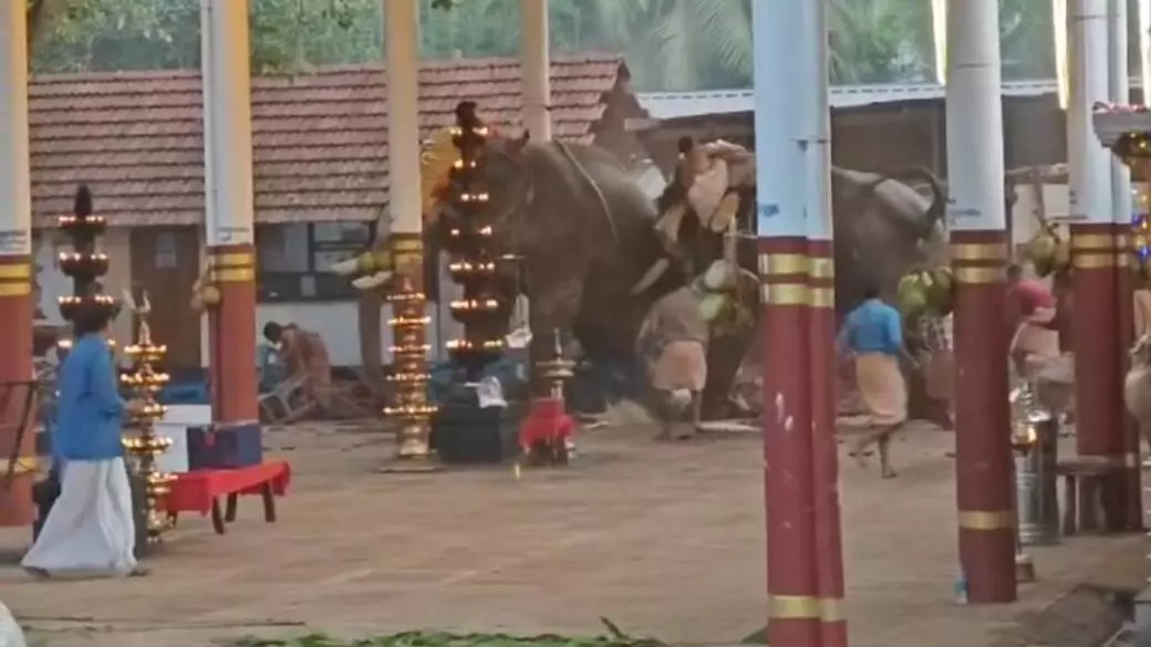 Kerala elephant attack temple
