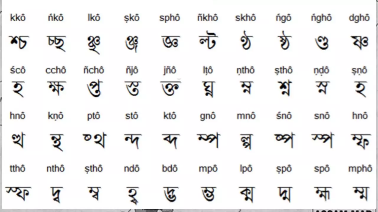 Found in translation: How Assamese literature is waiting to be explored