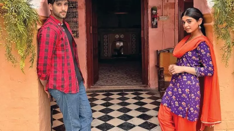 Pakistani drama Tan Man Neel o Neel