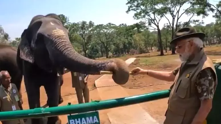 Modi goes on lion safari