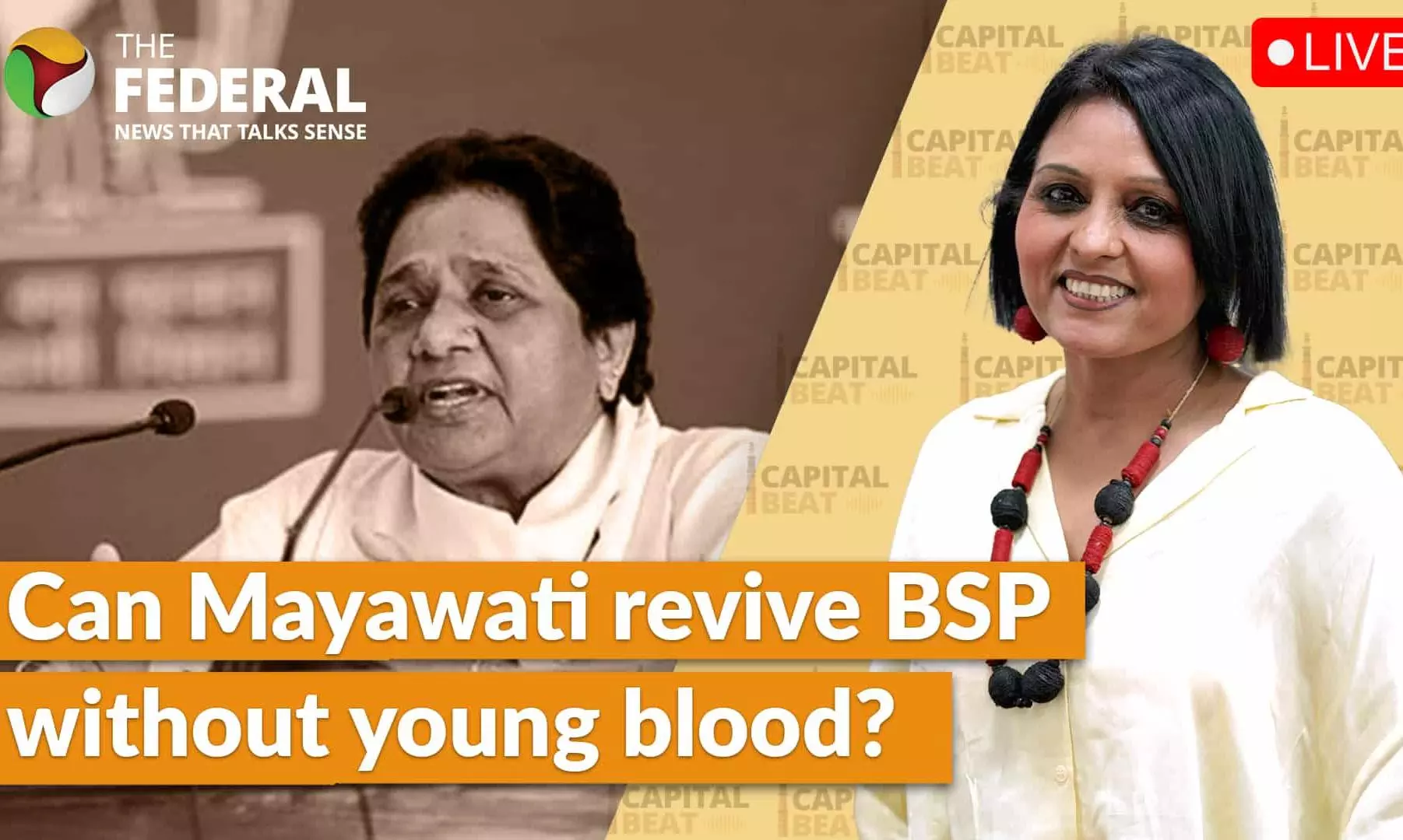 Mayawati BSP Politics Mayawati BSP Politics