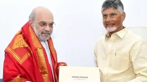 Amit Shah, Chandrababu Naidu