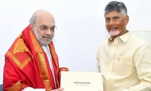 Amit Shah, Chandrababu Naidu