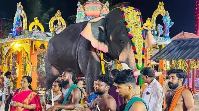 Kerala temples switch to lifelike robotic elephants from real ones
