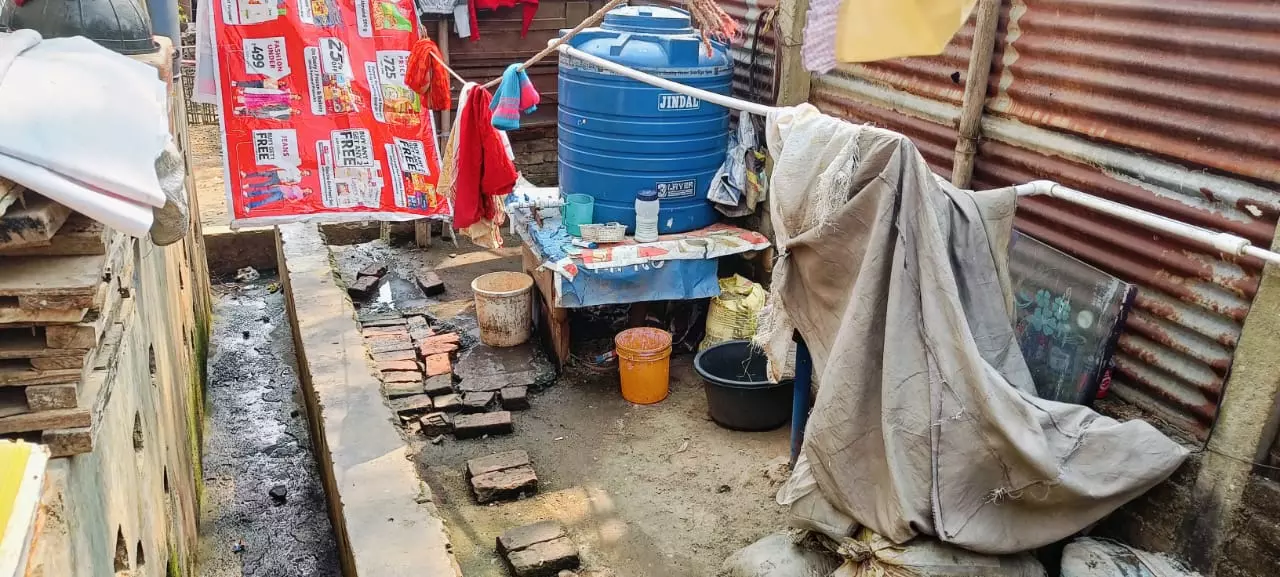Basic facilities such as enough toilets, clean drinking water, and a proper drainage system are missing at Tezpurs Harijan colony.