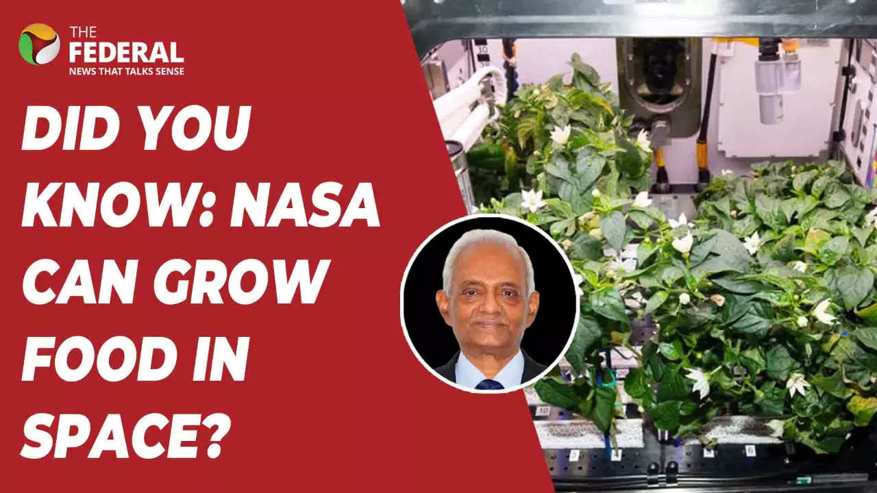 Sunita Williams Splashdown | How India helped with space farming tests
