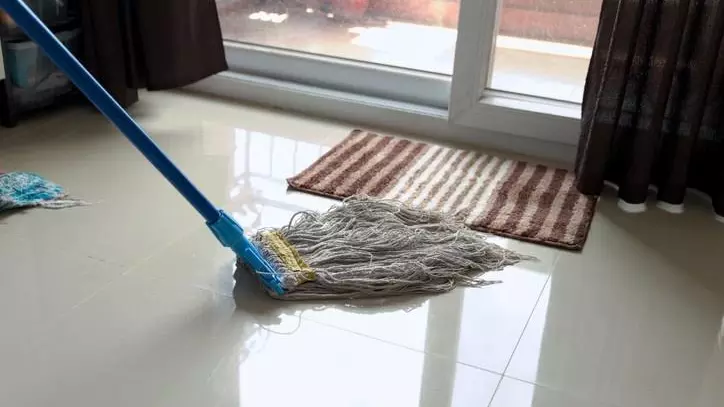 domestic help mopping domestic help mopping