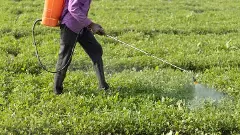 Fertiliser