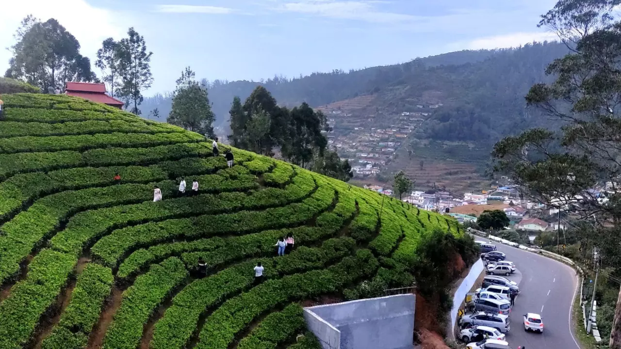 According to the e-pass mandate, those visiting said district in private vehicles must apply for the e-pass in advance on a government portal to obtain it