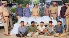 Opposition slams DMK govt as ‘zero ganja’ claim faces scrutiny in TN