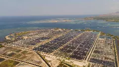Shrimp farm, prawn farming
