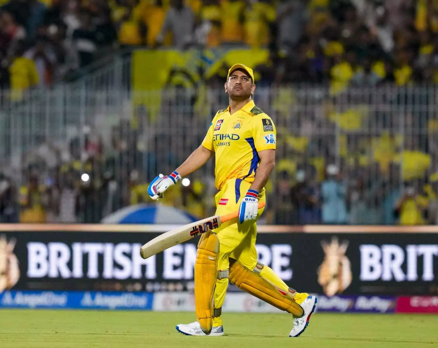 MS Dhoni MS Dhoni