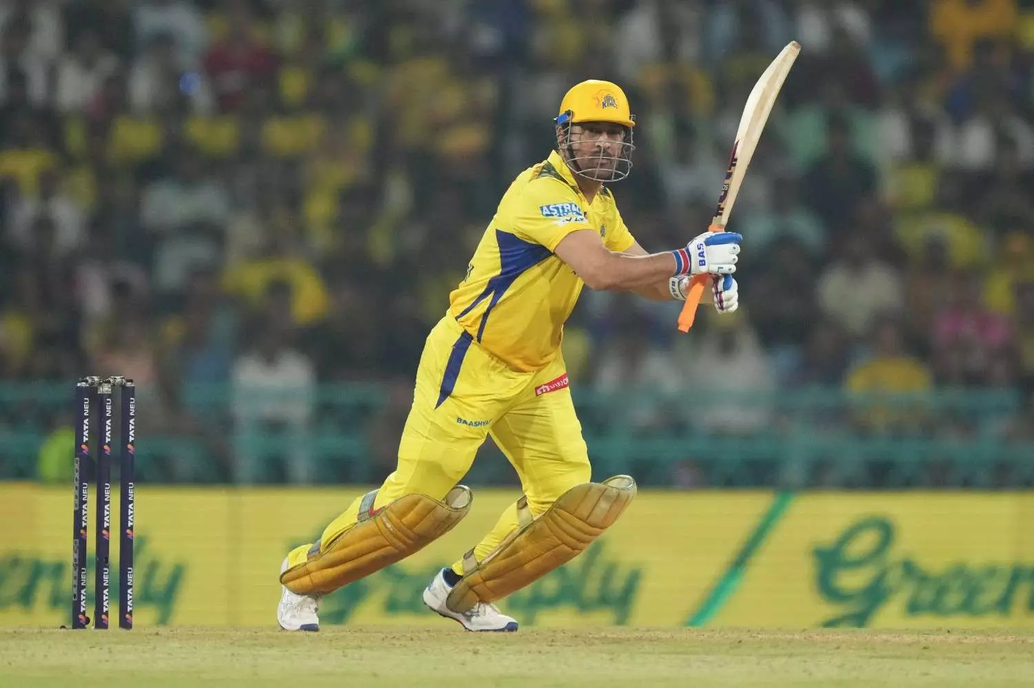 MS Dhoni