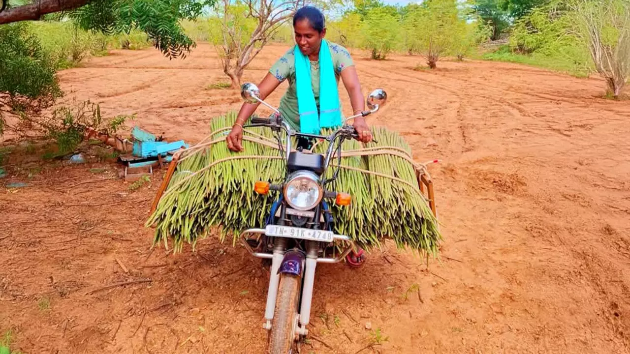 How Tamil Nadu is banging drum-sticks success from villages to the world