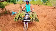 How Tamil Nadu is banging drum-sticks success from villages to the world
