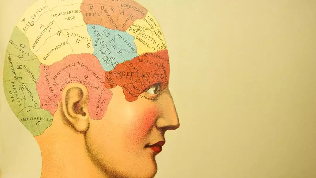 When people believed bumps in your head defined your personality
