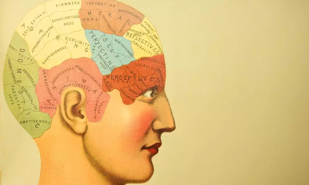 When people believed bumps in your head defined your personality