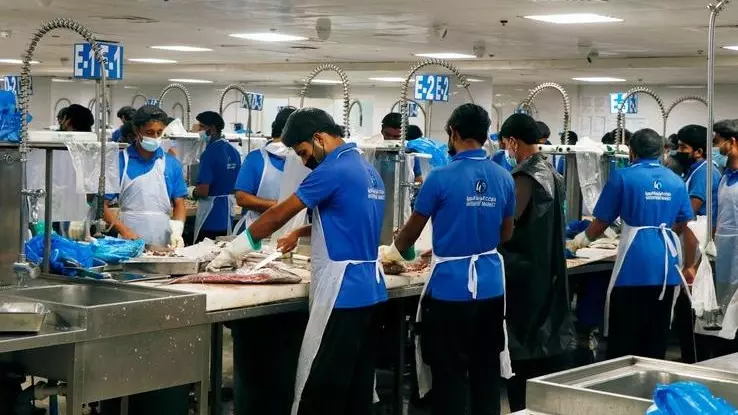 Dubai, United Arab Emirates people working in deira fish market in dubai
