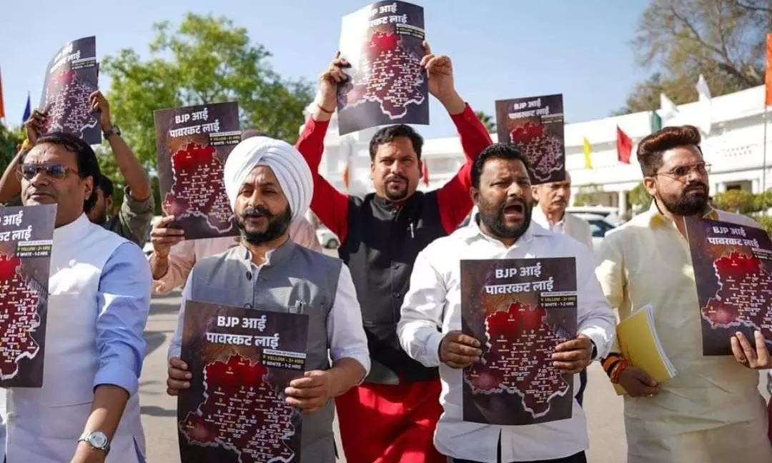 On and off the grid: The reality behind Delhi’s complex ‘power’ play On and off the grid: The reality behind Delhi’s complex ‘power’ play