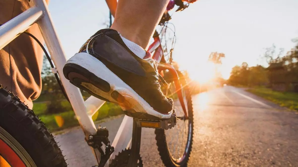 cycle track on Yamuna floodplains