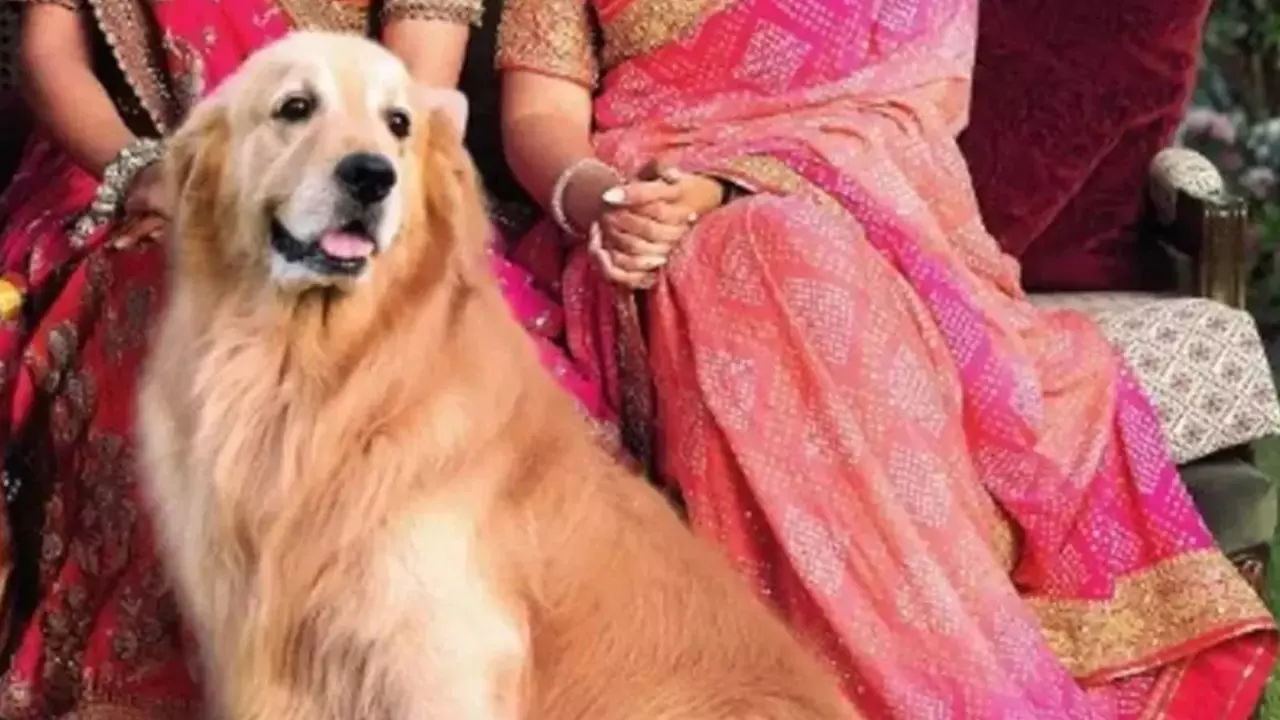 The Ambanis beloved dog, Happy passed away with his family sharing heartfelt tributes to him