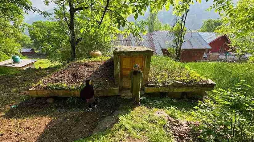 Pahalgam terror attack