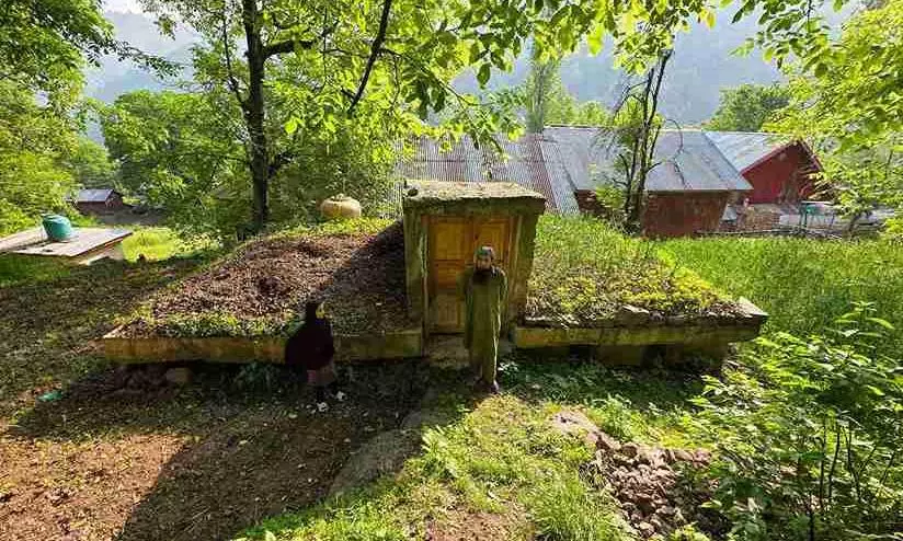 Pahalgam terror attack Pahalgam terror attack