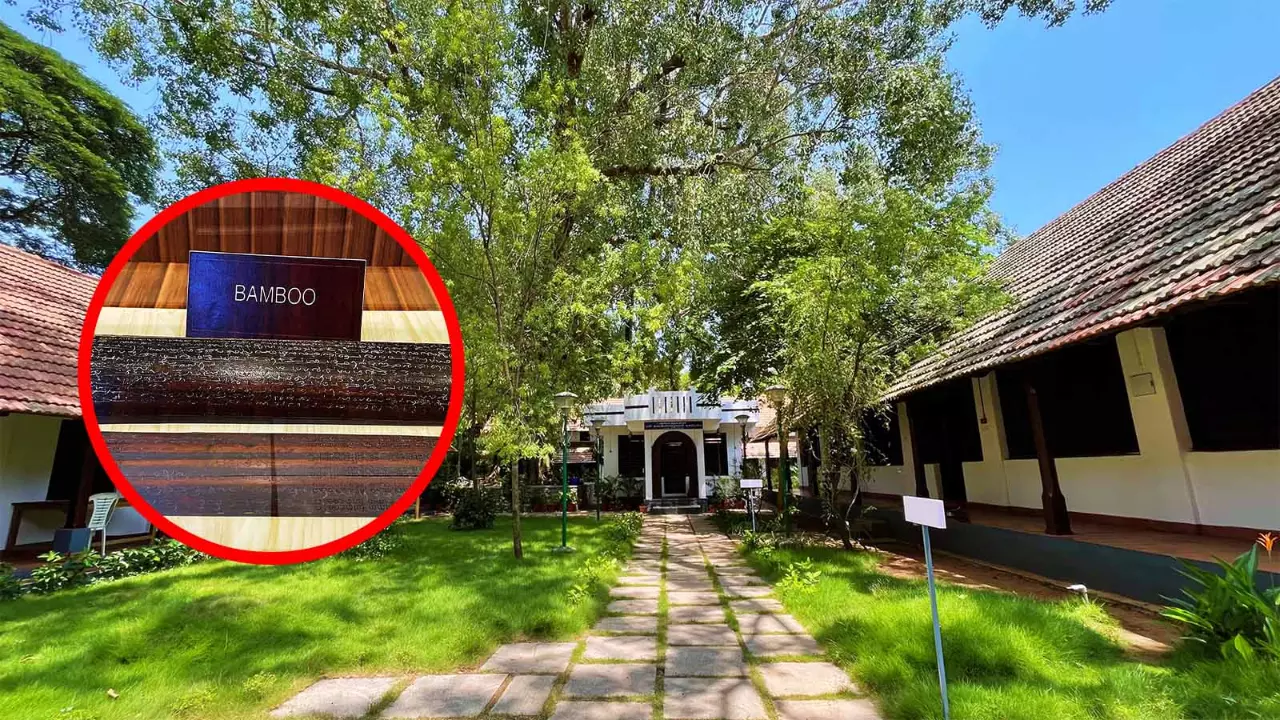 Nadi astrology: The dramatic art of fate