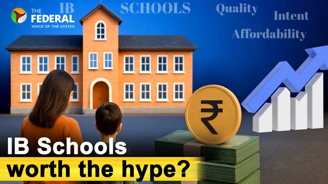 Is IB Schools worth the hype?