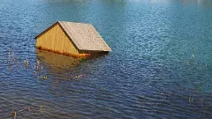 The IDMCs report said that two-thirds of the internal displacements in India were triggered by floods. Representative image: iStock