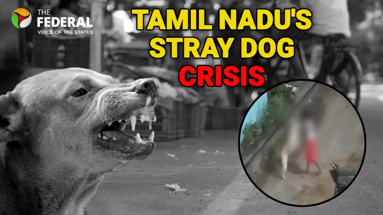 CM M K Stalin orders action