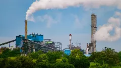 When environment ministry forgets its mandate and SC has to step in