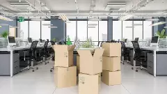 Cardboard boxes in new office