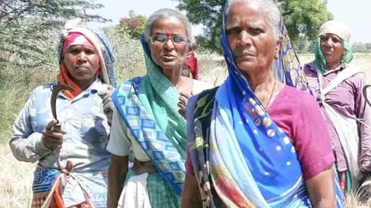 Gujarat: How Dalit women are fighting hard to retain a 36-acre plot in Dholka Gujarat: How Dalit women are fighting hard to retain a 36-acre plot in Dholka