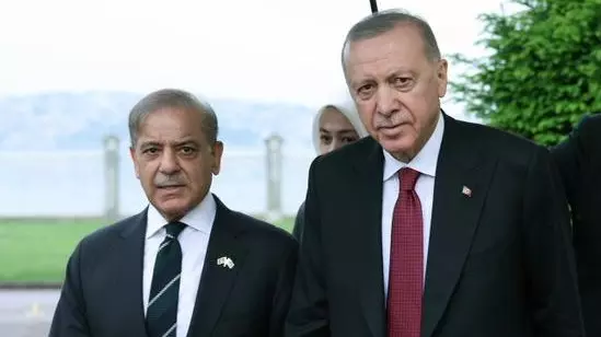 The two leaders carried out a comprehensive review of the entire spectrum of bilateral relations and reiterated their resolve to elevate the strategic partnership through investments and economic commitments. Photo: X/@CMShehbaz