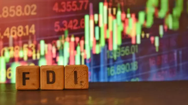 FDI inflow