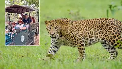 Anil Kumble, wildlife enthusiast becomes free ambassador for Karnataka forest dept