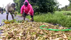 Above-normal monsoon rainfall likely in June: IMD