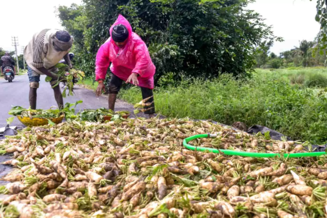 Above-normal monsoon rainfall likely in June: IMD Above-normal monsoon rainfall likely in June: IMD