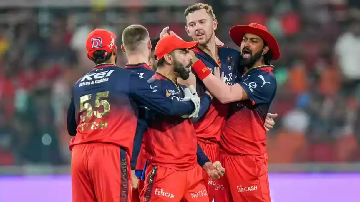 RCB players celebrate a wicket of PBKS