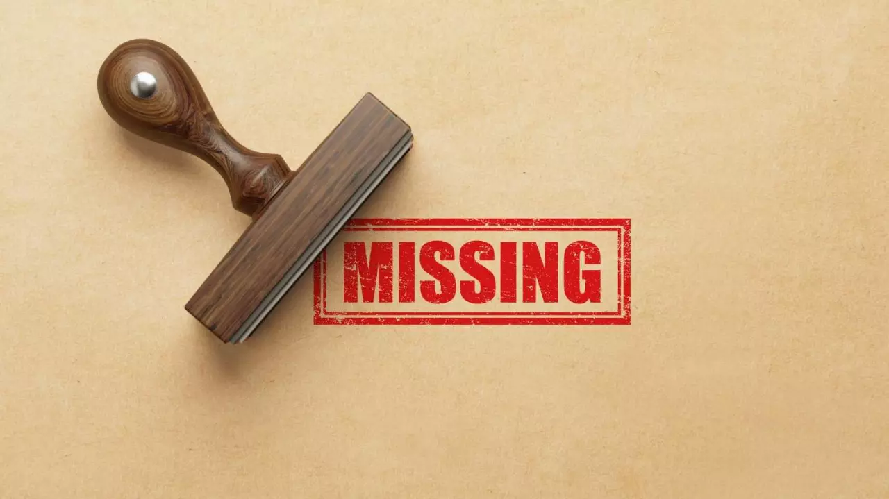 Missing Missing