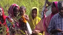 illegal migrants in no-mans land