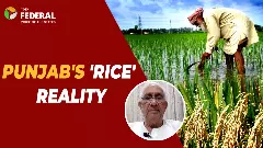 Dr. Lather explains why Punjab shouldnt quit rice and how direct seeded rice can save water