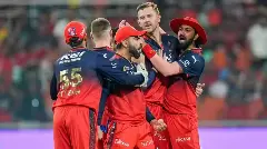 RCB players celebrate a wicket of PBKS