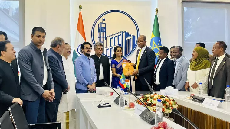 all-party delegation in Ethiopia