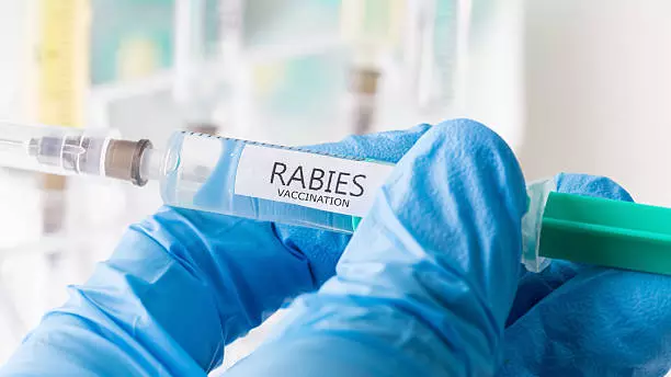 rabies deaths Kerala