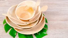 areca nut betel nut leaf bowls plates foodware US ban