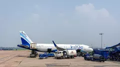 Indigo aircraft